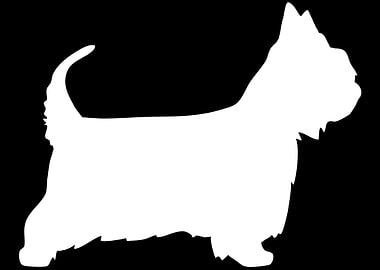 Australian Silky Terrier