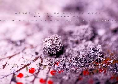 Quotes and sayings words