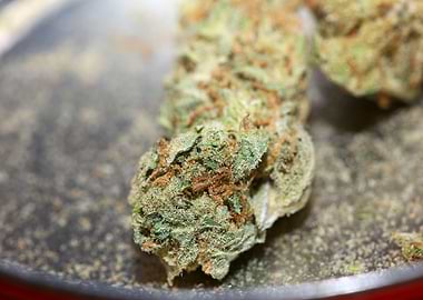Marihuana super lemon haze