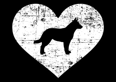 Australian Cattle Dog