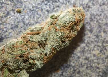 Marihuana super lemon haze