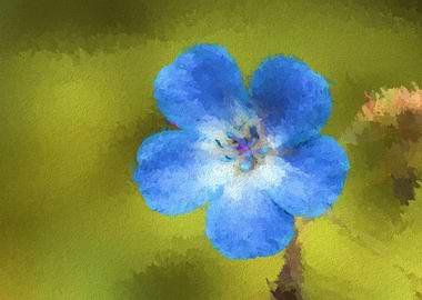 wildflower in the mountain