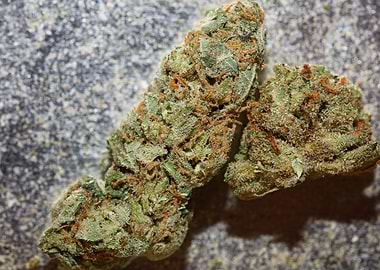 Smoking weed every day