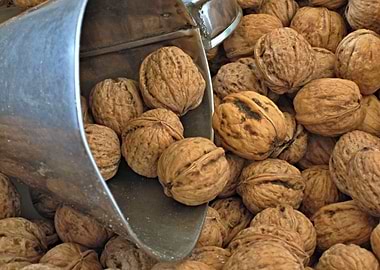 Walnuts from the market
