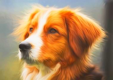 Brittany Spaniel
