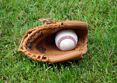 Baseball Glove