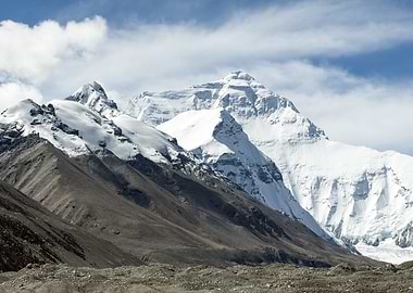 Tibetan Beauty