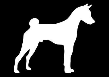 Basenji