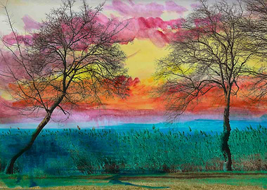 bare trees on the seashore