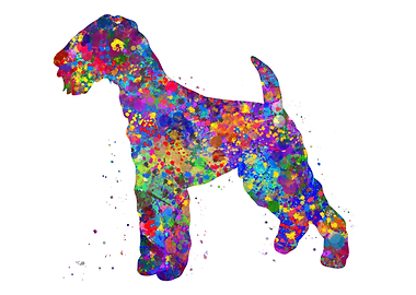 Airedale Terrier dog