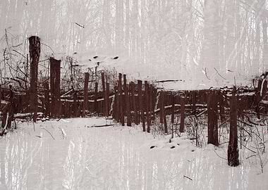 Sounds of the Forest