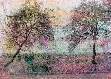 bare trees on the seashore