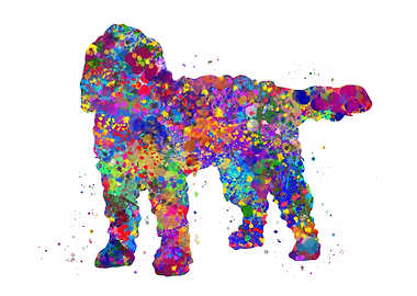 Cockapoo dog watercolor