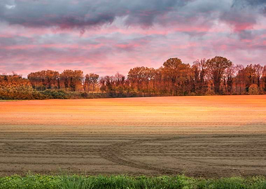 cultivated field and cloud