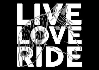 Horse head Horse gift