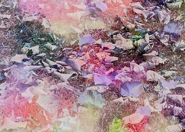 autumn leaf on meadow