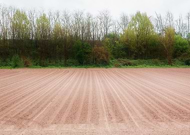 cultivated field and cloud