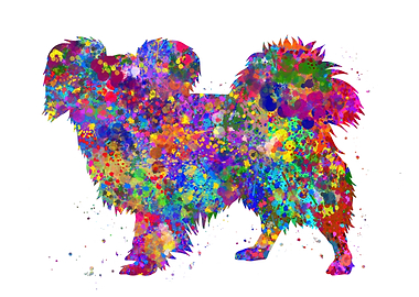 Papillon dog watercolor