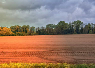 cultivated field and cloud