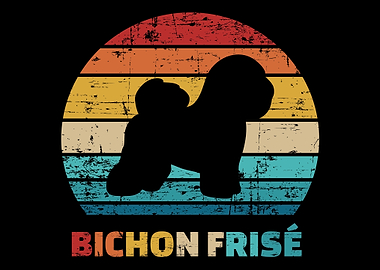 Bichon Frise