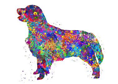 Golden Retriever dog