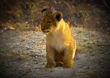 Lion cub