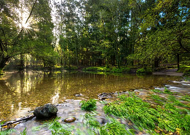 Sunrise in the middle of t