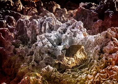 marine jagged rocks