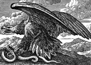 eagle vs snake