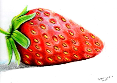 Strawberry fresa frutilla