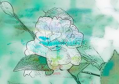 camellia sasanqua flower