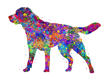 Labrador dog watercolor