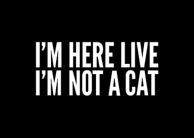Im here live Im not a cat