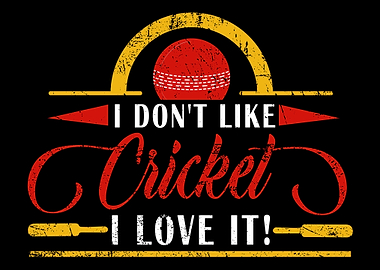 Cricket Player Batsman