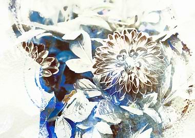 dahlia in spring season