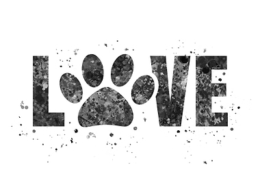 Dog love paw
