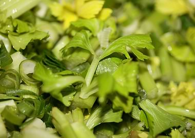 Anethum envidien lauch eat