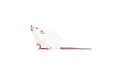 The White Mouse
