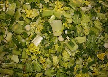 Anethum envidien lauch eat