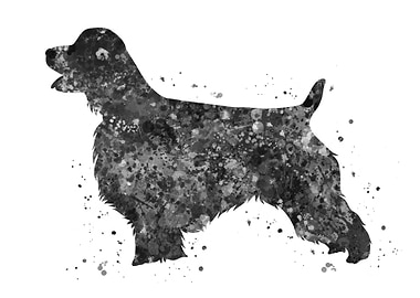 English springer spaniel