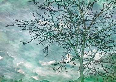 trees without leaves