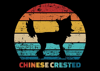 Chinese Crested
