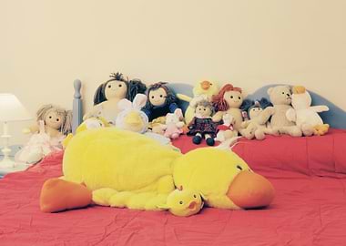 Dolls collection bed toys