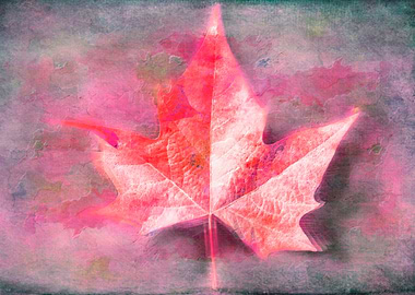 autumn leaf background