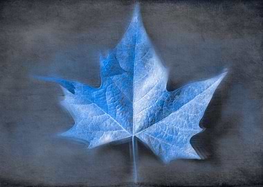 autumn leaf background