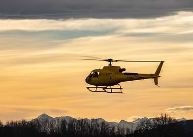 Ecureuil in the sunrise