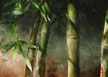 Bamboo