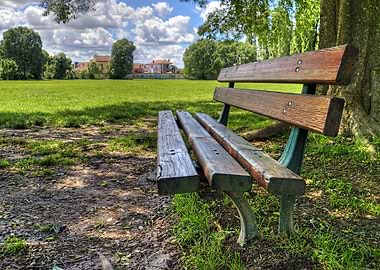 Old bench