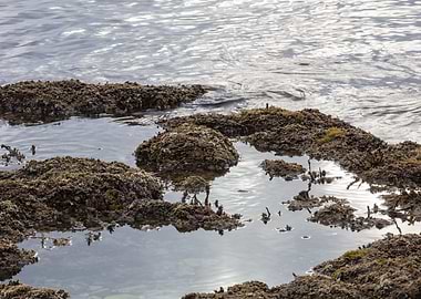 stormy sky and reflections