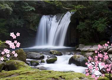 Japan Waterfall